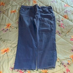 Wide Leg Blue Jeans